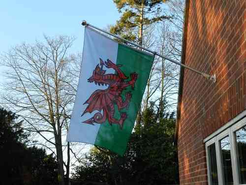 Welsh National Flag 3ft x 5ft