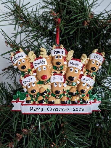 Reindeer Family of 8 Personalised Christmas Decoration